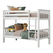 LITERA OXFORD