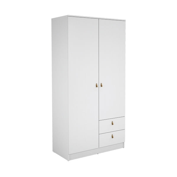 ARMARIO 2 PUERTAS + 2 CAJONES 100,2x51,6x200 cm