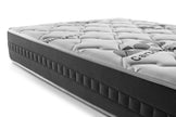 CARBON PLUS
