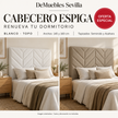 CEBECERO ESPIGA