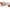 PACK 2 ALMOHADAS LEG PILLOW